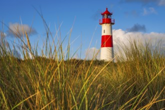 The Lister lighthouse at Ellenbogen, morning light, morning mood, dune, North Sea island, Sylt