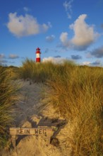 Nature reserve at Lister Ellenbogen, dunes, ban, no access, Sylt