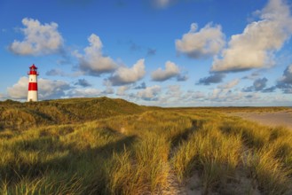 The Lister lighthouse at Ellenbogen, morning light, morning mood, dune, North Sea island, Sylt