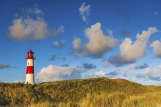 The Lister lighthouse at Ellenbogen, morning light, morning mood, dune, North Sea island, Sylt