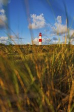 The Lister lighthouse at Ellenbogen, morning light, morning mood, dune, North Sea island, Sylt
