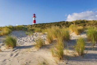 The Lister lighthouse at Ellenbogen, morning light, morning mood, dune, North Sea island, Sylt