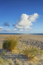 Lonely sandy beach in the sunny morning light, cloud, elbow, Sylt