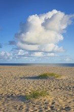 Lonely sandy beach in the sunny morning light, cloud, elbow, Sylt