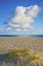 Lonely sandy beach in the sunny morning light, cloud, elbow, Sylt