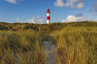The Lister lighthouse at Ellenbogen, morning light, morning mood, dune, North Sea island, Sylt