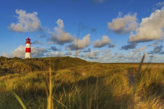 The Lister lighthouse at Ellenbogen, morning light, morning mood, dune, North Sea island, Sylt