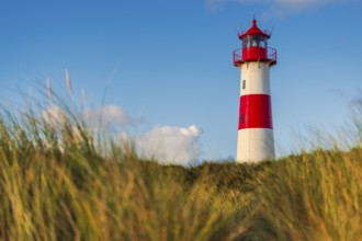 The Lister lighthouse at Ellenbogen, morning light, morning mood, dune, North Sea island, Sylt