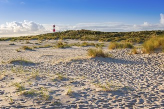The Lister lighthouse at Ellenbogen, morning light, morning mood, dune, North Sea island, Sylt