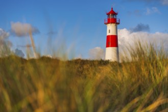 The Lister lighthouse at Ellenbogen, morning light, morning mood, dune, North Sea island, Sylt