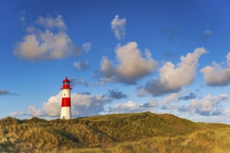 The Lister lighthouse at Ellenbogen, morning light, morning mood, dune, North Sea island, Sylt