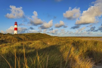 The Lister lighthouse at Ellenbogen, morning light, morning mood, dune, North Sea island, Sylt