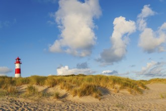 The Lister lighthouse at Ellenbogen, morning light, morning mood, dune, North Sea island, Sylt
