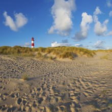 The Lister lighthouse at Ellenbogen, morning light, morning mood, dune, North Sea island, Sylt