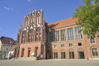 City Hall of the City of Frankfurt, Market Square, Frankfurt (Oder), Brandenburg, Germany