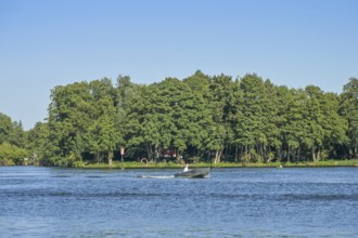 Kleine Hallig, Havel, Tegel, Reinickendorf, Berlin, Germany