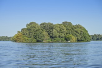 Lindwerder Island, Tegeler See, Tegel, Reinickendorf, Berlin, Germany
