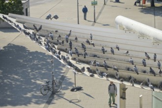 Pigeons, plague, roof of Lichtenberg railway station, Berlin, Germany