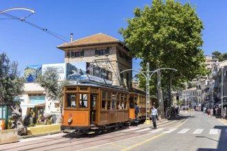 Historic tram Tranvia de Soller public transport public transport on Majorca at the railway station