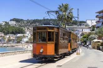 Historic tram Tranvia de Soller public transport public transport in Majorca in Port de Soller,