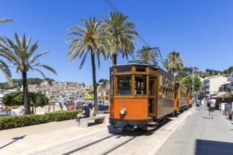 Historic tram Tranvia de Soller public transport public transport in Majorca in Port de Soller,