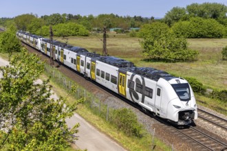 Train of the S-Bahn Rhein-Neckar of Deutsche Bahn DB Regio type Siemens Mireo on the railway line