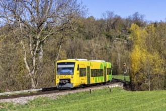 Regional railway train on the Strohgäubahn of the type Regio-Shuttle RS 1 in Münchingen, Germany