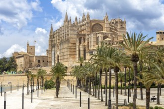 Cathedral Church Catedral de Palma de Majorca La Seu in Palma de Majorca, Spain