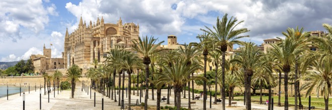 Cathedral Church Catedral de Palma de Majorca La Seu Panorama in Palma de Majorca, Spain