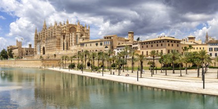 Cathedral Church Catedral de Palma de Majorca La Seu Panorama in Palma de Majorca, Spain