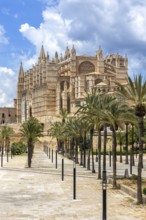 Cathedral Church Catedral de Palma de Majorca La Seu in Palma de Majorca, Spain
