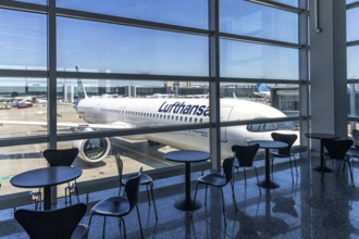 A Lufthansa Airbus A321neo aircraft with the registration number D-AIEM at Frankfurt Airport,