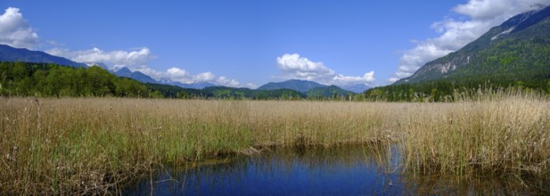 Slow Trail, reeds and springs at Lake Pressegger See, near Hermagor, Gailtal, Carinthia, Austria