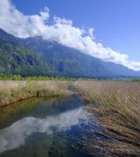 Slow Trail, reeds and springs at Lake Pressegger See, near Hermagor, Gailtal, Carinthia, Austria