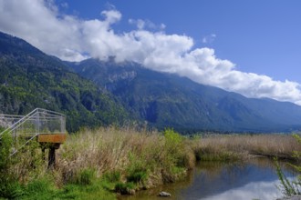 Slow Trail, reeds and springs at Lake Pressegger See, near Hermagor, Gailtal, Carinthia, Austria