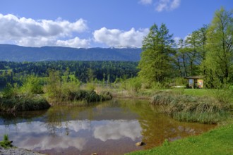 Lake Pressegger See, near Hermagor, Gailtal, Carinthia, Austria