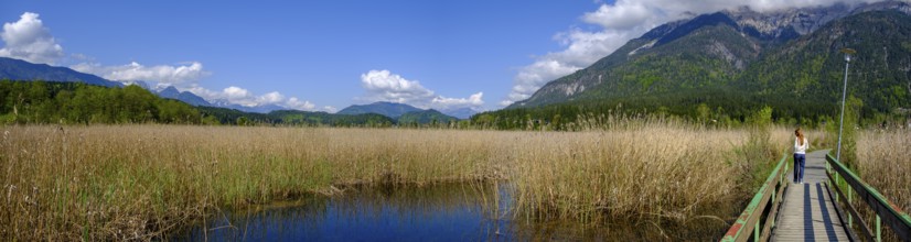 Slow Trail, reeds and springs at Lake Pressegger See, near Hermagor, Gailtal, Carinthia, Austria