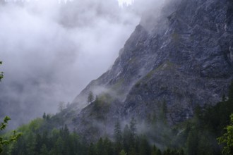 Fog, rain clouds between rocks, Gramai Alm, Karwendel, near Pertisau, Tyrol, Austria