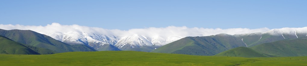 Wide meadow in front of a snow-covered mountain range, landscape near Saratovka, Lesser Caucasus,
