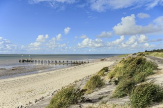 Tar dyke Utersum directly on the Wadden Sea, Föhr, North Frisian Island, North Frisia,