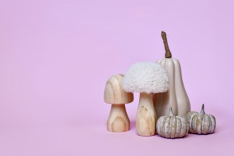 Decorative pumpkin and mushroom ornaments on pink background with copy space