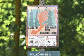 Mannheim, Germany - July 31st 2025: German forest fire hazard warning sign in dry woodland forest