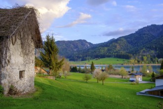 Evening atmosphere at Lake Weissensee, near Techendorf, Carinthia, Austria