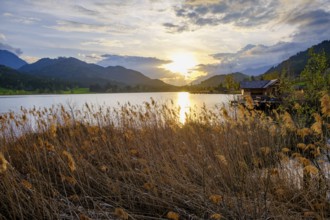 Sunset, evening mood at the Weißensee, near Techendorf, Carinthia, Austria