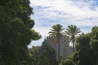 Medieval Grand Master's Palace with palm trees and lush vegetation under a slightly cloudy sky,