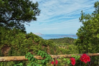 View over a forest and flowers to the blue sea on the island of Chalki and Alimia on the horizon