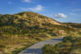 Jetty with bench in the dunes, resting place, North Sea, island, Sylt