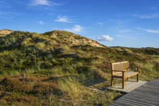 Jetty with bench in the dunes, resting place, North Sea, island, Sylt