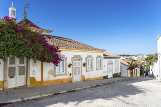 Old town alleys, houses, partly lushly overgrown, Tavira, in the Algarve, Portugal