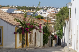 Old town alleys, houses, partly lushly overgrown, Tavira, in the Algarve, Portugal